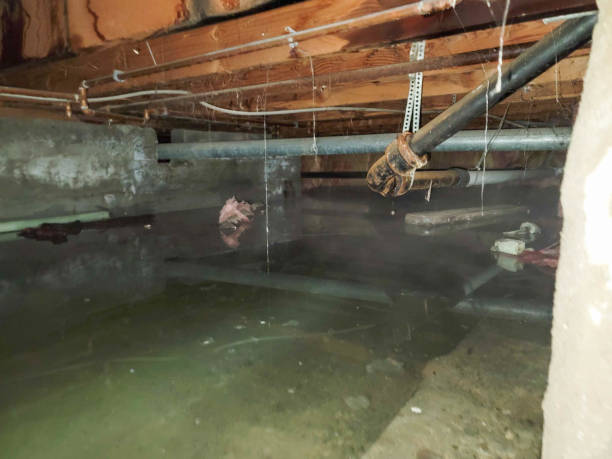 Best Water damage repair service  in Nottingham, PA