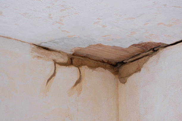 Best Fire Damage Restoration  in Nottingham, PA
