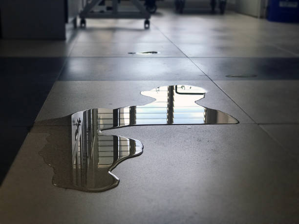 Best 24-hour water damage restoration  in Nottingham, PA