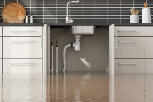 Best Water damage cleanup near me  in Nottingham, PA