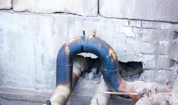 Best Water damage cleanup near me  in Nottingham, PA