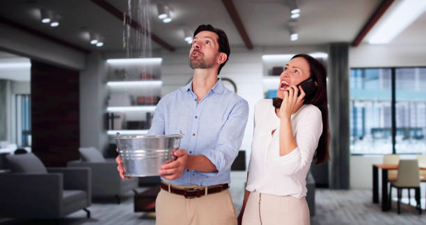 Best Local water damage restoration  in Nottingham, PA
