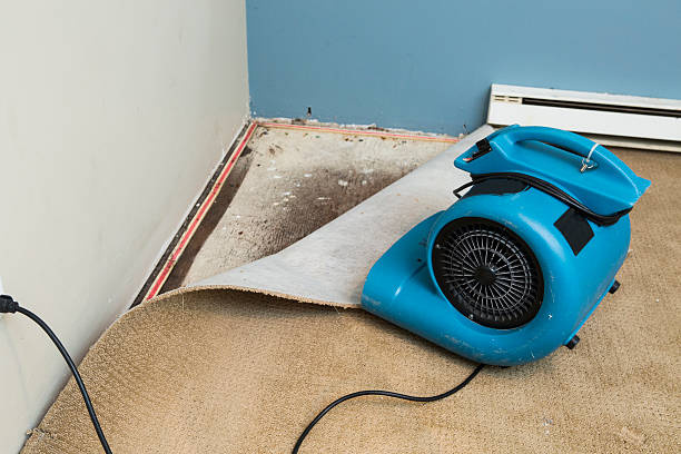 Reliable Nottingham, PA Water damage restoration Solutions